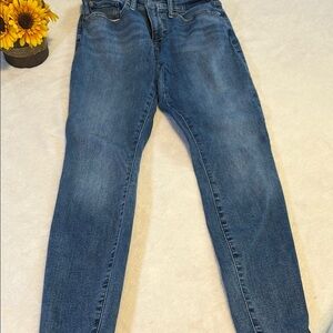 Lucky Brand Indigo Denim Jeans